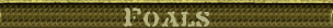 Foals page title banner