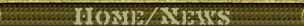 Home page title banner