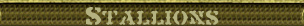 Stallions page title banner