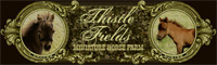 Thistle Fields Miniature Horse Farm